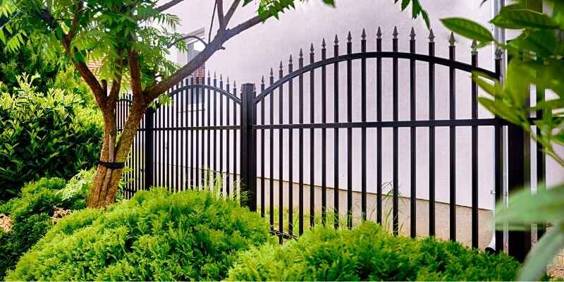 Iron-fence-Star-Gate-Fence-1