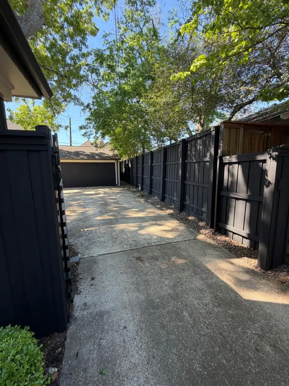 Existing fence after pressure washing and a fresh black stain