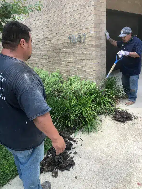 Star Gate & Fence project in Flower Mound
