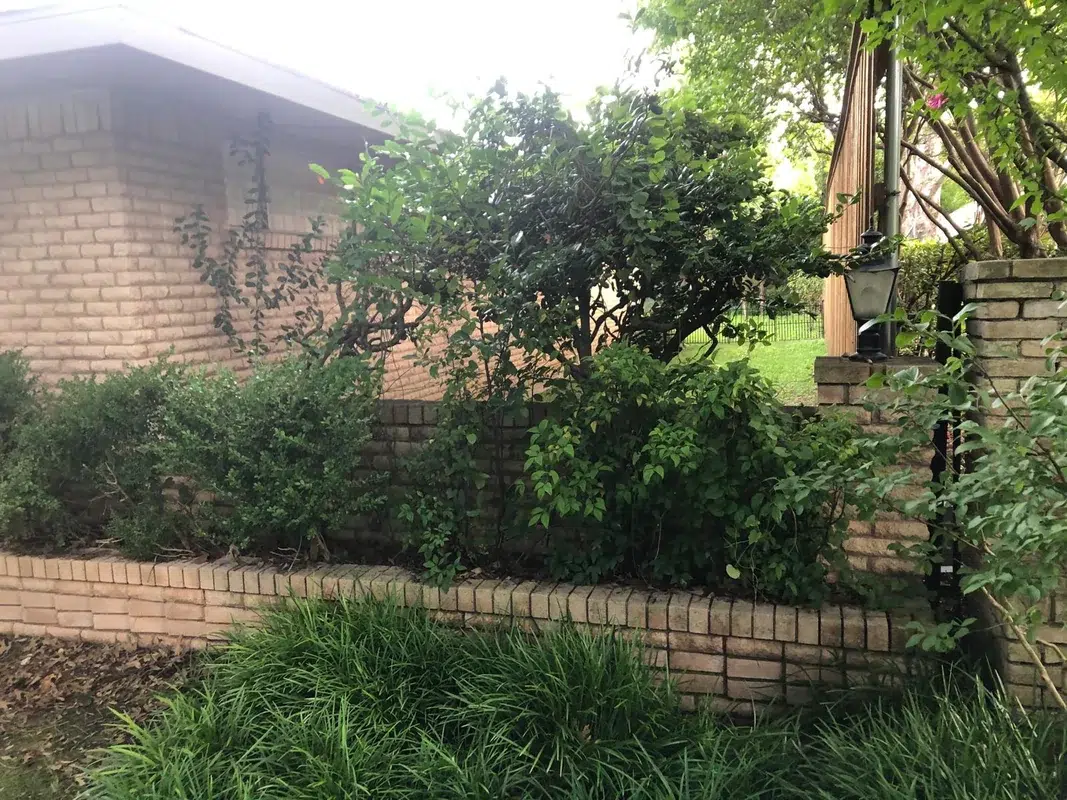 best materials for residential fence and gate common mistakes dallas