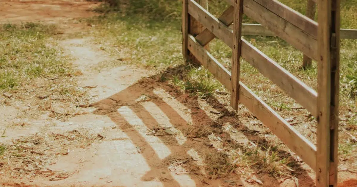 LiftMaster vs Mighty Mule Gate Openers Compared: Performance, Cost, and Best Use Cases - Star Gate and Fence